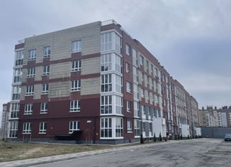 Продам однокомнатную квартиру, 54.8 м2, посёлок Мичуринский, микрорайон Мегаполис-Парк, 17к2