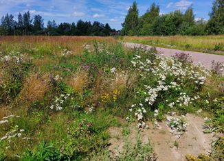 Продается участок, 12 сот., деревня Ладога, Изумрудная улица, 6