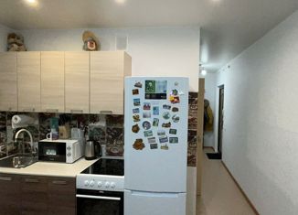 Продам квартиру студию, 23 м2, Новосибирск, Березовая улица, 19, Березовая улица