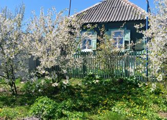 Продается дом, 47 м2, село Вислое, Центральная улица, 15