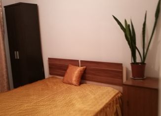 Продам 1-комнатную квартиру, 30.7 м2, посёлок Мичуринский, Широкореченская улица, 49