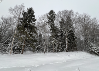 Продаю земельный участок, 12 сот., посёлок Васильевское, Рабочая улица, 7