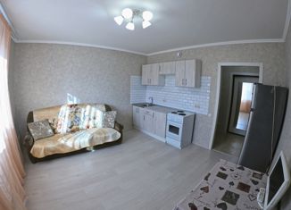 Продаю квартиру студию, 24.5 м2, Домодедово, Южнодомодедовская улица, 11