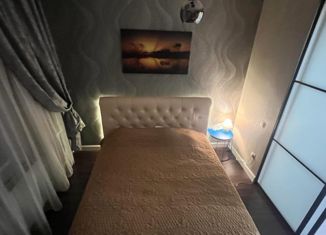 Сдам в аренду квартиру студию, 30 м2, Санкт-Петербург, Выборгское шоссе, 27к3, Выборгское шоссе