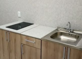 Продается однокомнатная квартира, 24 м2, поселок городского типа Стройкерамика, улица Николая Симонова, 5