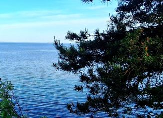 Продажа участка, 375 сот., деревня Сорочково