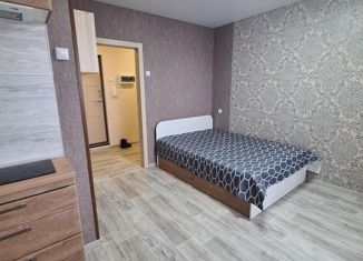 Квартира на продажу студия, 24 м2, Миасс, улица Уральских Добровольцев, 1А