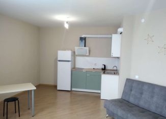 Продажа квартиры студии, 30 м2, поселок городского типа Емельяново, Новая улица, 22