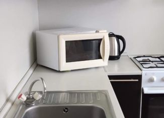 1-ком. квартира в аренду, 40 м2, Тосно, улица Островского, 1А