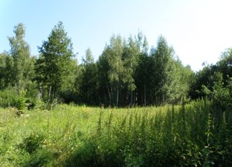 Продам участок, 24 сот., деревня Большое Ильинское