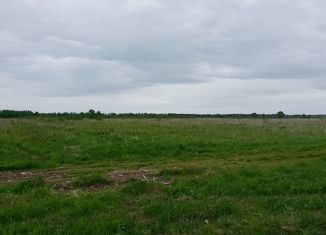 Земельный участок на продажу, 19.59 сот., деревня Володеево