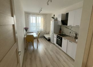 Сдам 1-ком. квартиру, 38 м2, Санкт-Петербург, Русановская улица, 18к3, Невский район