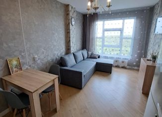 Квартира в аренду студия, 24 м2, Мурино, улица Шоссе в Лаврики, 67, ЖК Муринское-1