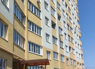 Продажа 2-комнатной квартиры, 55.1 м2, село Новая Усмань, жилой комплекс Синее Небо, 135, ЖК Синее Небо