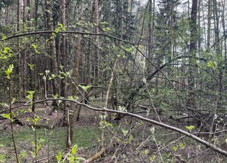 Продается участок, 33 сот., дачный посёлок Кратово, улица Лазо