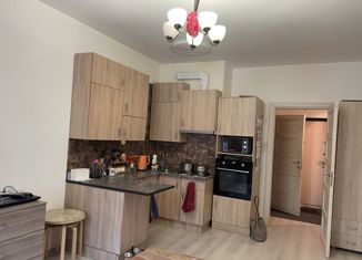 Квартира на продажу студия, 24.3 м2, Мурино, Ручьёвский проспект, 9