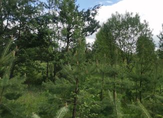 Земельный участок на продажу, 12 сот., село Бисерово