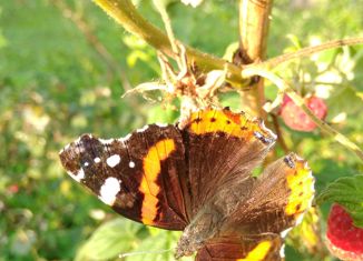 Продажа участка, 9 сот., посёлок Ставрово, улица Мира