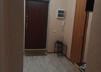 Продам квартиру студию, 30 м2, село Новая Усмань, Раздольная улица, 1
