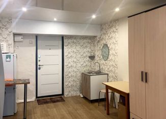 Продам 1-комнатную квартиру, 18.4 м2, Хабаровск, Краснореченская улица, 75А