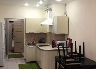 Продажа квартиры студии, 24.1 м2, Санкт-Петербург, проспект Маршала Блюхера, 8к1, метро Лесная