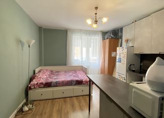 Продается квартира студия, 26 м2, деревня Малые Колпаны, микрорайон Речной, 3