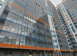 Продам квартиру студию, 27 м2, Мурино, Екатерининская улица, 3/4, ЖК Территория