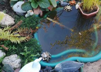 Продаю дом, 33.1 м2, СНТ Ясные зори, СНТ Ясные зори, 33