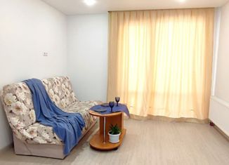 Аренда квартиры студии, 23.1 м2, деревня Патрушева, улица Александра Пушкина, 14