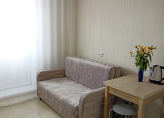 Сдам квартиру студию, 30 м2, Сосновоборск, проспект Мира, 13