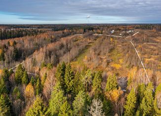 Продается участок, 6 сот., деревня Ерыково