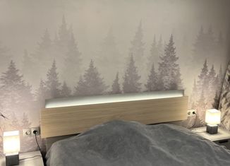 Двухкомнатная квартира на продажу, 50 м2, Петергоф, Чебышёвская улица, 3к2