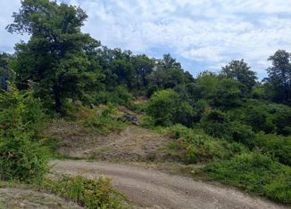 Продаю земельный участок, 1500 сот., село Барановка (Лазаревский район), Золотая улица