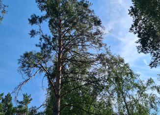 Продажа участка, 9 сот., село Спирино, Боровая улица