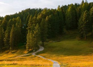 Земельный участок на продажу, 20 сот., деревня Давыдовское