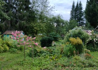 Дом на продажу, 50 м2, СНТ Дружное-3, Центральная улица