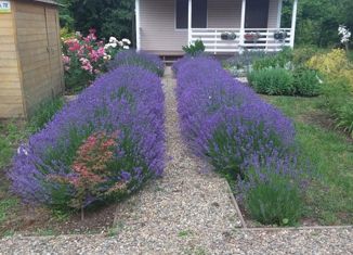 Продаю дом, 40 м2, станица Елизаветинская, Пролетарская улица