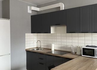 Продаю квартиру студию, 30 м2, село Осиновая Гора, Восточная улица, 13