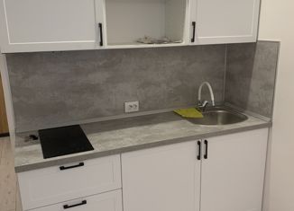 Продается квартира студия, 23.6 м2, Санкт-Петербург, Ипподромный переулок, Ипподромный переулок