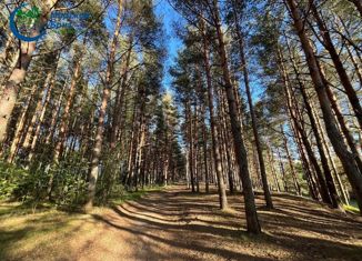 Продаю участок, 25.02 сот., Судоверфское сельское поселение