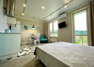 Продажа квартиры студии, 28 м2, Сочи, улица Искры, 88к1, ЖК Летний