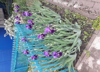 Продается дом, 60 м2, село Погореловка, Центральная улица, 70