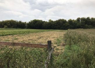 Продается земельный участок, 16.58 сот., деревня Крестниково, улица Киселевка