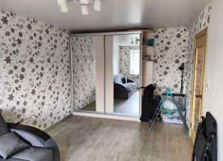 1-комнатная квартира на продажу, 30.5 м2, Саров, улица Академика Харитона, 16