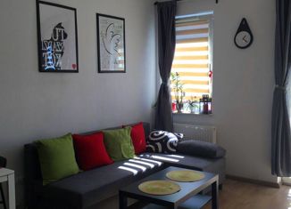 Продажа 2-ком. квартиры, 45 м2, село Орёл-Изумруд, Петрозаводская улица, 28/1