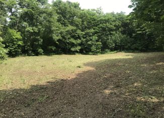 Продажа участка, 925 сот., село Вольно-Надеждинское