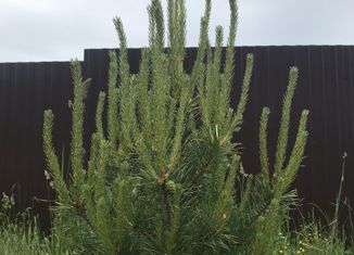 Продается дом, 52 м2, ДНП Дивный, ДНП Дивный, 139Б