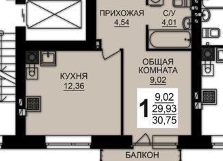 1-ком. квартира на продажу, 30.75 м2, деревня Дерябиха, деревня Дерябиха, 78