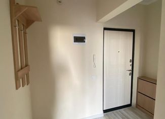 Сдача в аренду однокомнатной квартиры, 33 м2, Ростов-на-Дону, проспект Солженицына, 13, ЖК Пятый Элемент