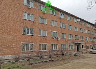 Продажа 1-комнатной квартиры, 17.1 м2, Артём, улица Пархоменко, 1